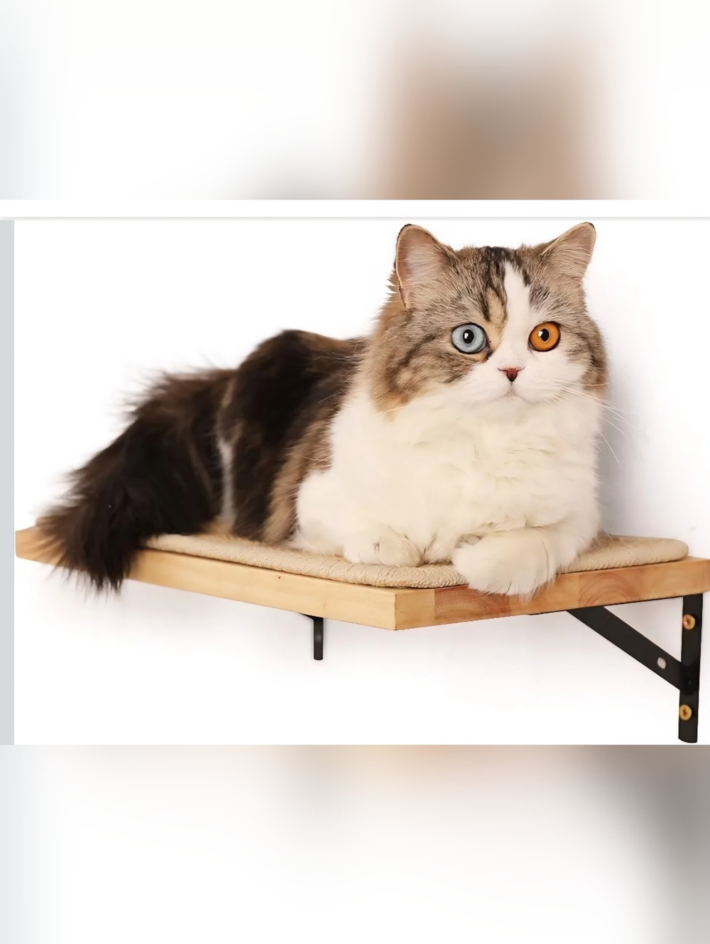 Cat Wall Shelf Perch - White and Brown Plush Bed